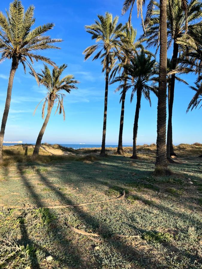 Gound Floor Bungalow Jumilla III Playa Flamenca Dehesa de Campoamor  外观 照片